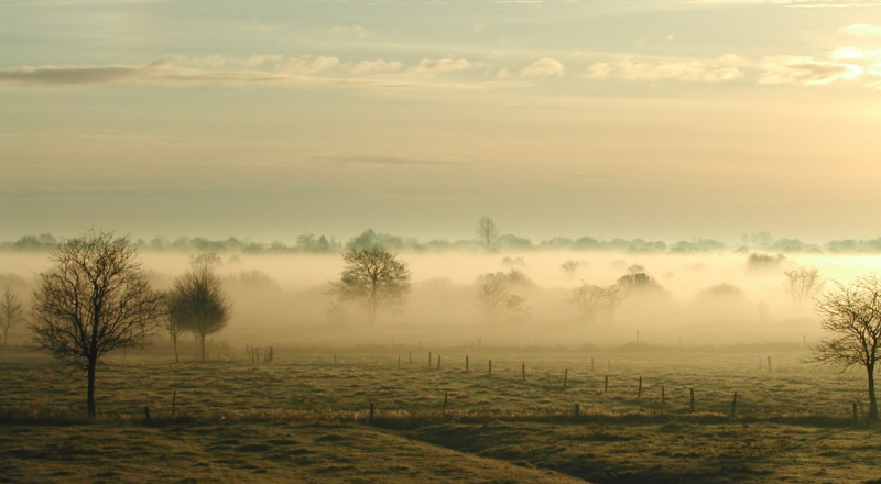 Bodennebel