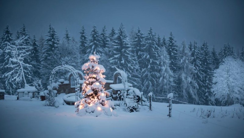 Weiße Weihnachten!