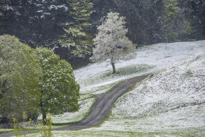 Schneefall im Mai